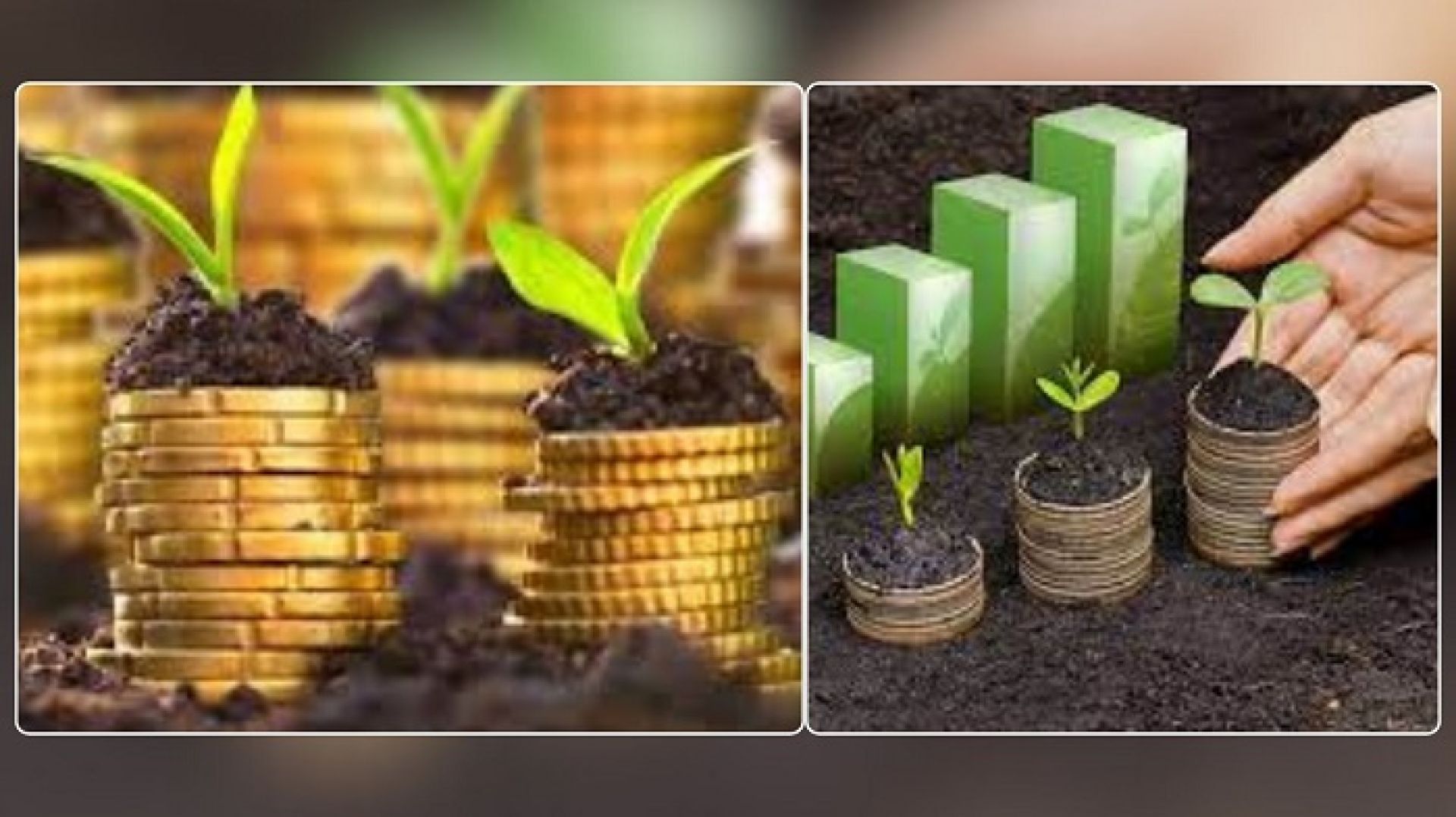 क्षेत्रगत कृषि कर्जा ३.३४ प्रतिशतले बढ्योः राष्ट्र बैंक 